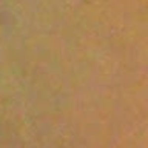 Meet your Posher, Bryan